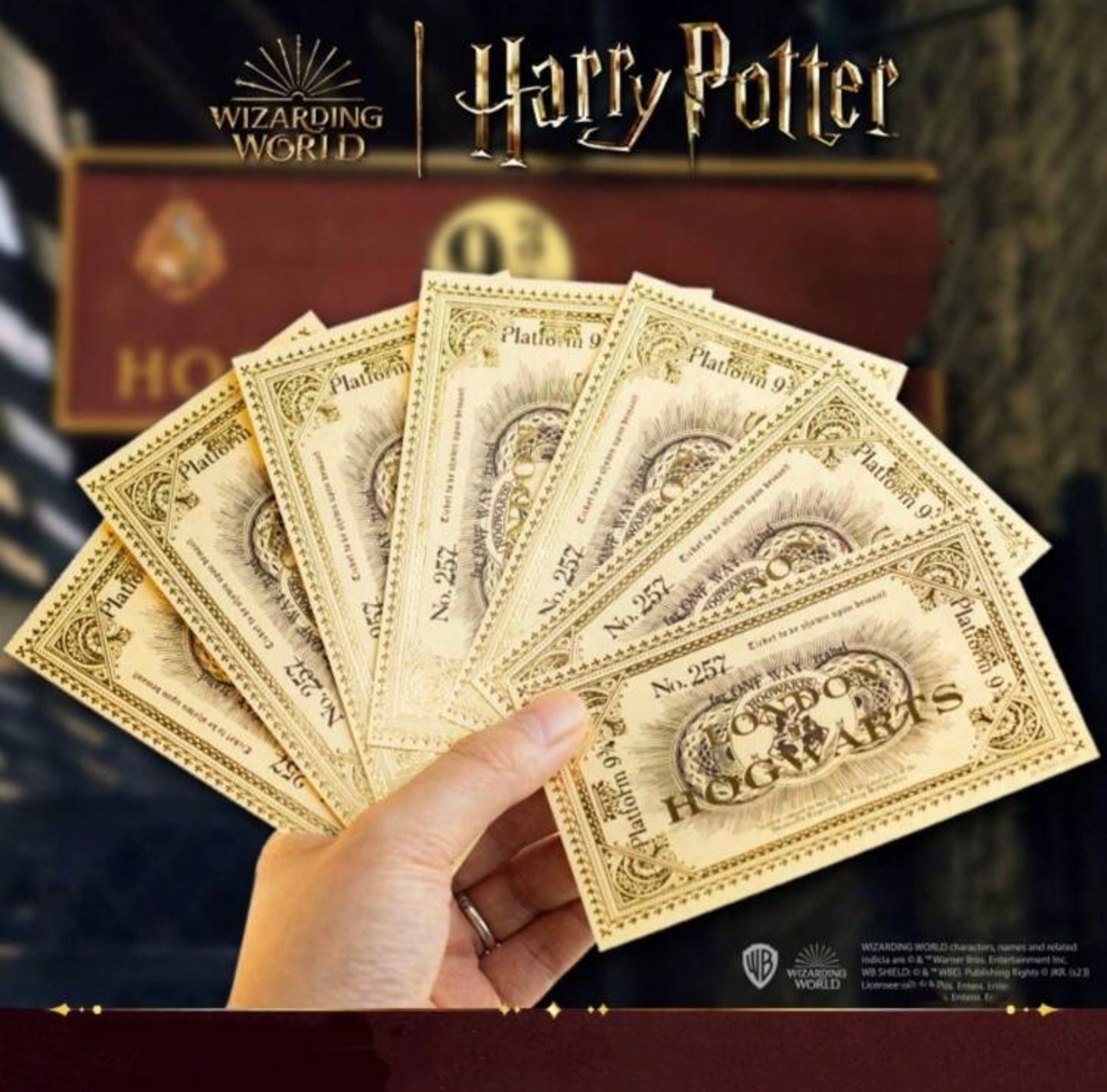 Official License HP Ticket 1pc