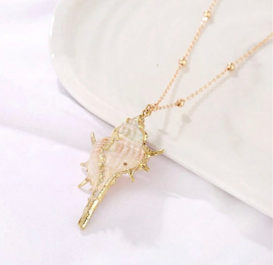 Conch Shell Dipped in Gold
