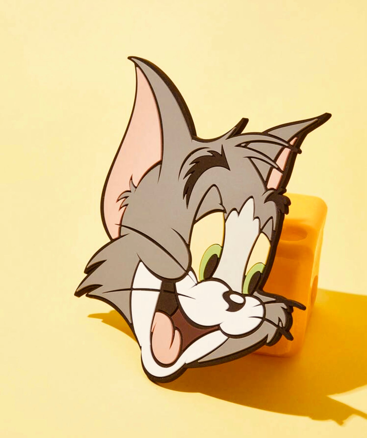 Tom & Jerry Coaster