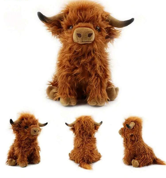 Highland Cow